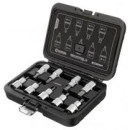 Torx in holder