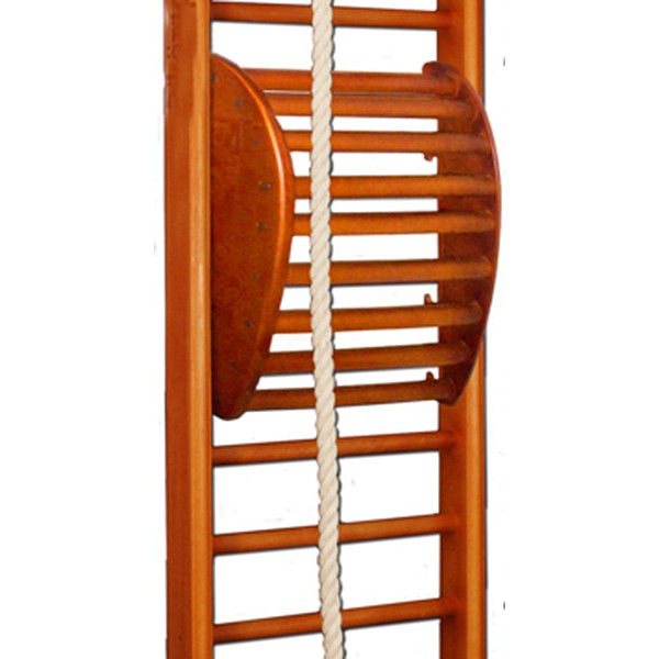 SportBaby back trainer