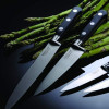 Chef's knife Richardson Sheffield Sabatier Trompette, 20 cm