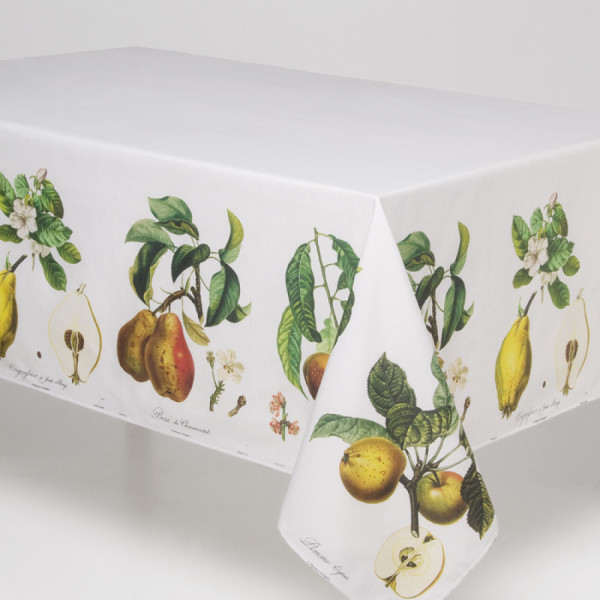 Скатертина Atenas Home Textile Fruits, бавовна з покриттям, 150 x 150 см