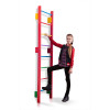 Swedish wall - Teenager-0-220 Pink color SportBaby
