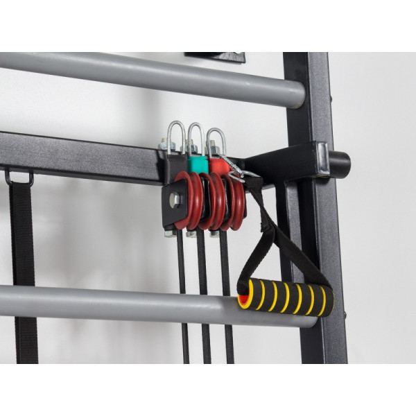Swedish Wall Ladas Cross Trainer in the gym for adults