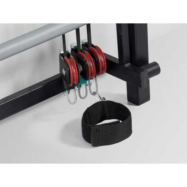 Swedish Wall Ladas Cross Trainer in the gym for adults