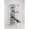 Swedish Wall Ladas Cross Trainer in the gym for adults