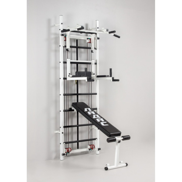 Swedish Wall Ladas Cross Trainer in the gym for adults