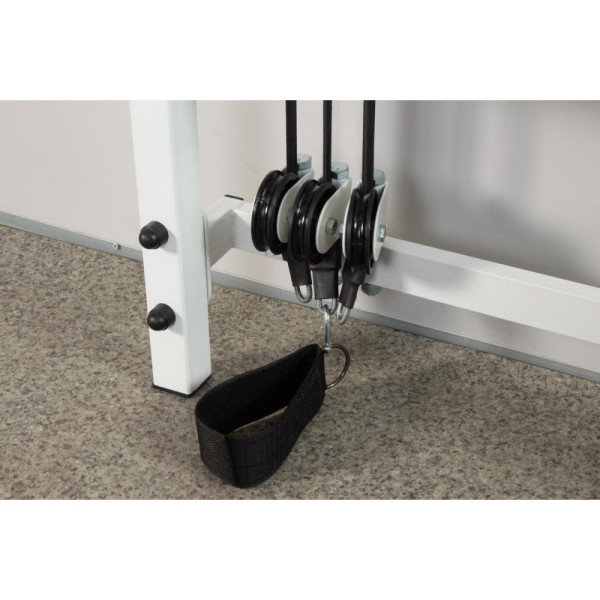 Swedish Wall Ladas Cross Trainer PRO for the gym