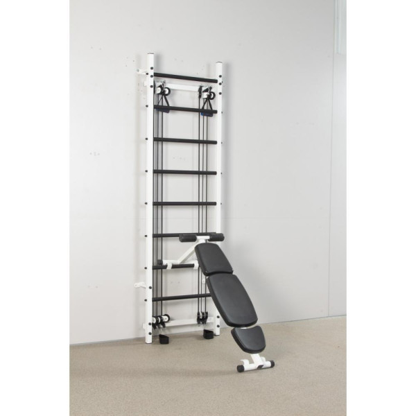 Swedish Wall Ladas Cross Trainer PRO for the gym
