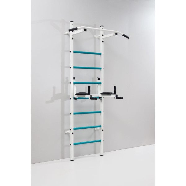 Swedish wall Ladas Leader for the gym
