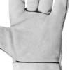 Перчатка серая замшевая (ящик 60 пар) Intertool SP-0009W