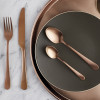 Cutlery set Amefa AUSTIN COPPER, 24 pr.