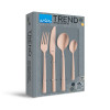 Cutlery set Amefa MANILLE COPPER, 16