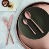 Cutlery set Amefa MANILLE COPPER, 16