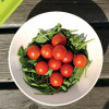 Набор лоханок CookCo, диаметр 16 см, 6 шт.