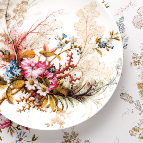 Dinner plate Maxwell Williams Ocean Fantasy KILBURN, porcelain, diameter 20 cm