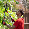 Garden shears with telescopic handles Intertool FT-1117