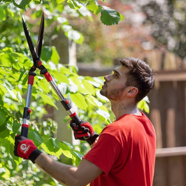 Garden shears with telescopic handles Intertool FT-1117