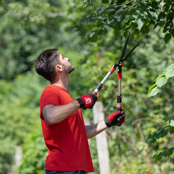 Garden shears with telescopic handles Intertool FT-1117
