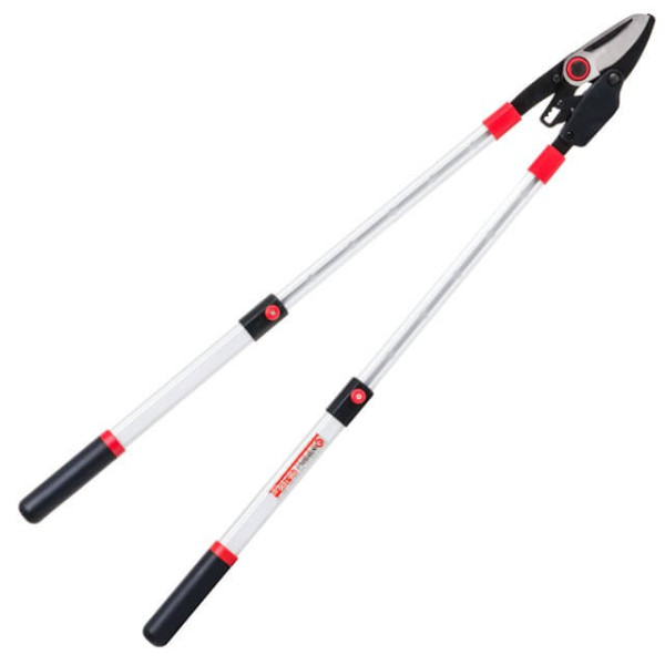Garden pruner for cutting branches with a ratchet mechanism, with telescopic handles 700-1030 mm Intertool FT-1118