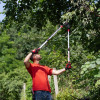 Garden pruner for cutting branches with a ratchet mechanism, with telescopic handles 700-1030 mm Intertool FT-1118