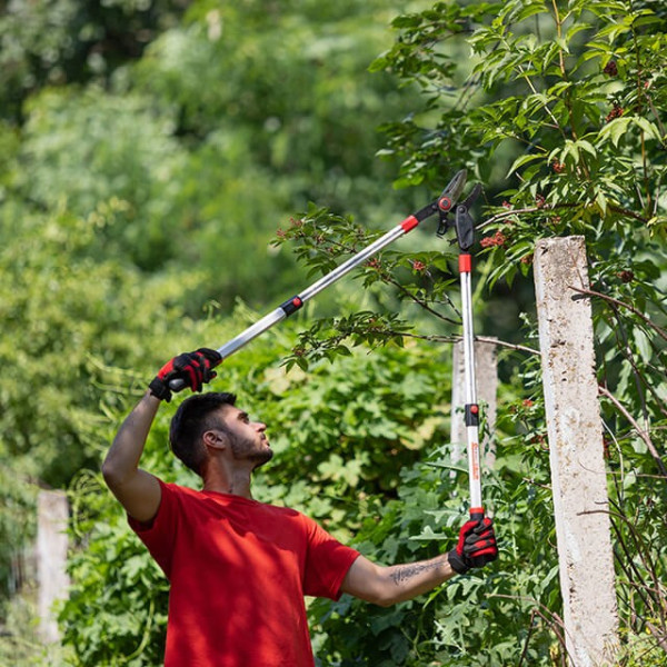 Garden pruner for cutting branches with a ratchet mechanism, with telescopic handles 700-1030 mm Intertool FT-1118