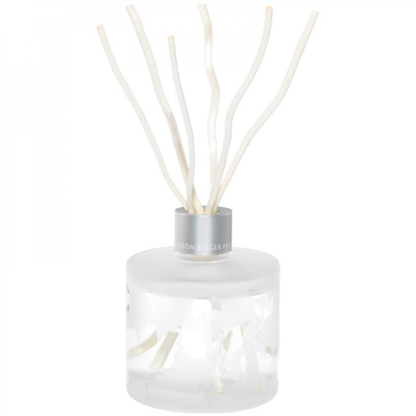 Maison Berger Paris diffuser with AROMA WAKE-UP aroma, 180 ml